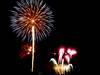 Emmes 2015 Feuerwerk 2